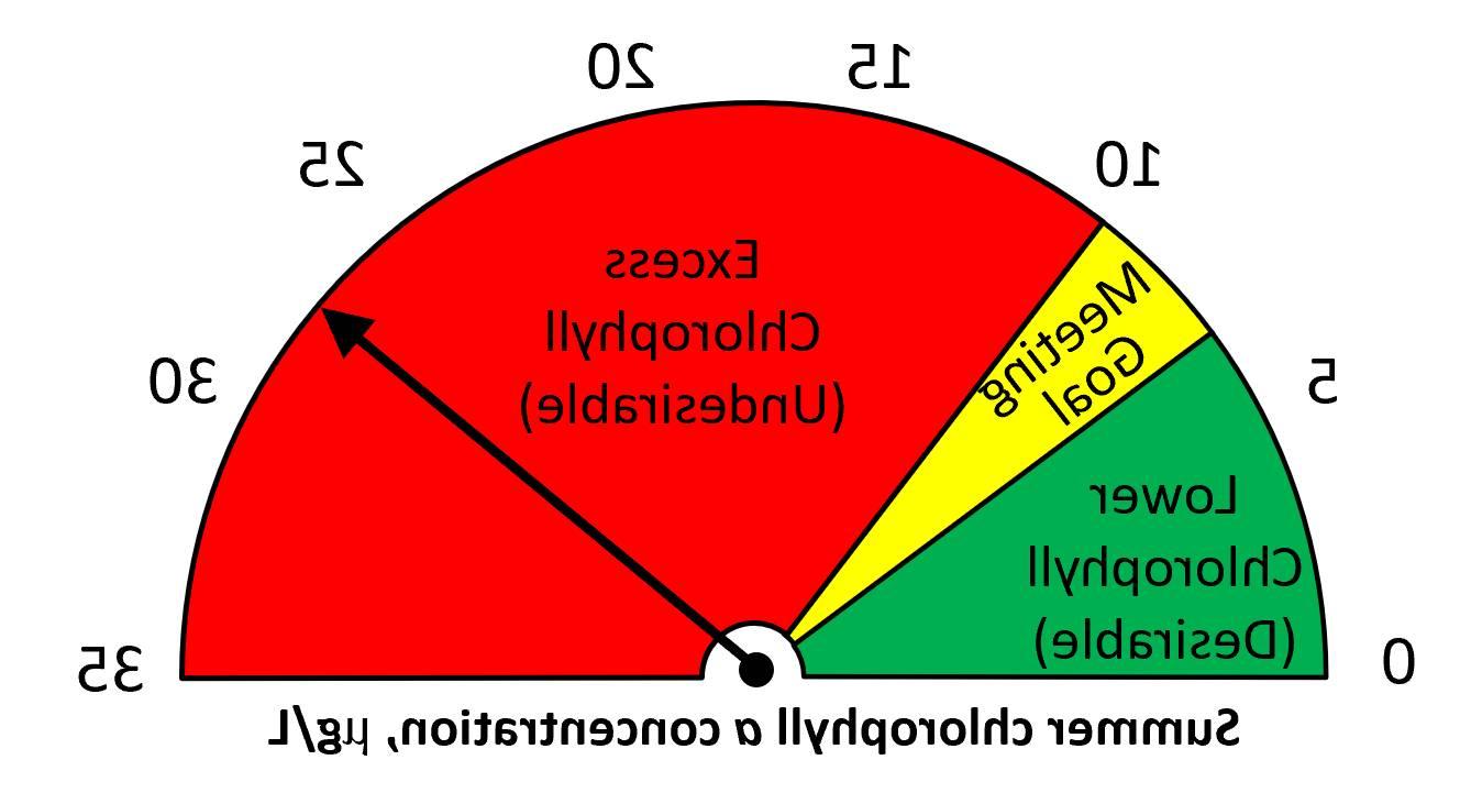 Summer 2024 chlorophyll a = 26 ug/L